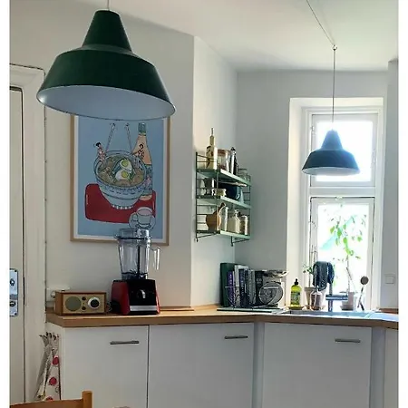 Apartmentincopenhagen Apartment 1459 דירה קופנהגן